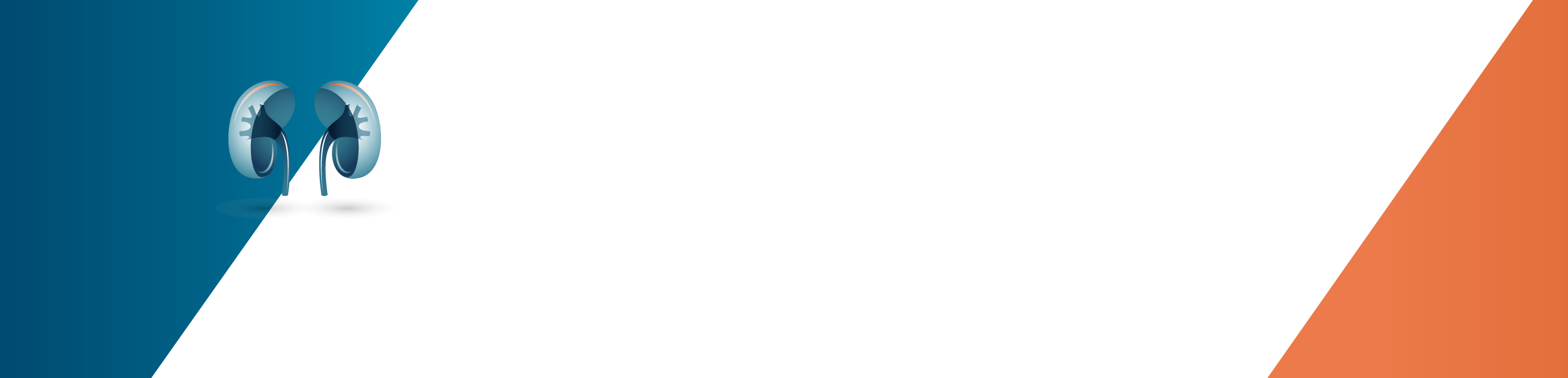 Kidneys