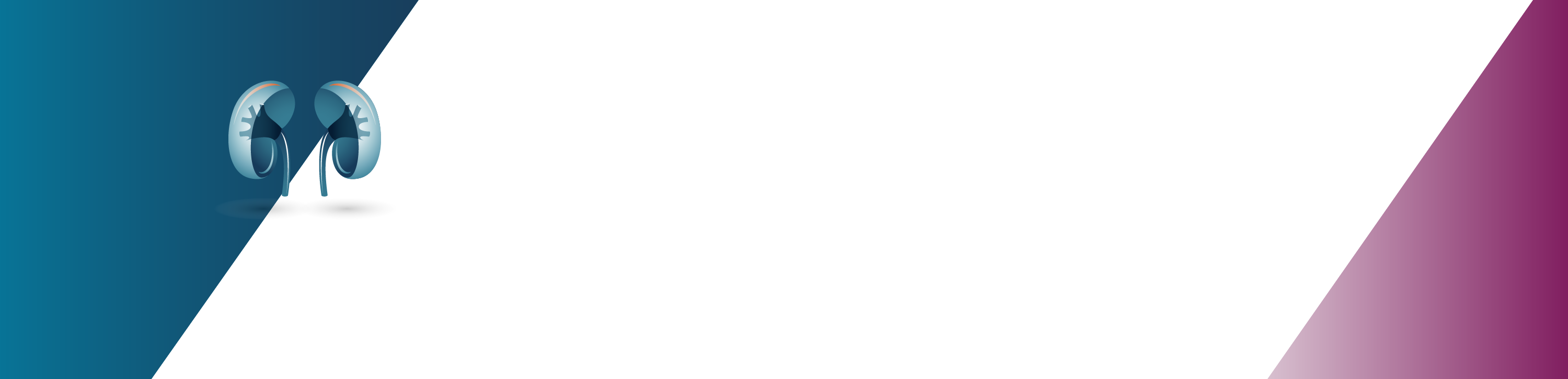 Kidneys