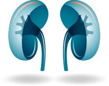 Renal Cell Carcinoma Icon