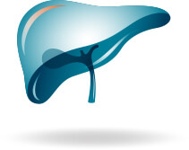 Hepatocellular Carcinoma (HCC) Icon