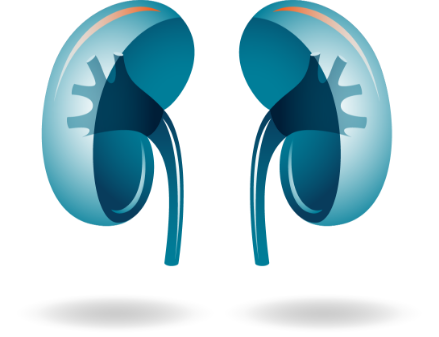 OPDIVO® (nivolumab) lung logo