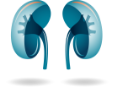 Renal cell icon
