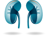 Renal cell icon