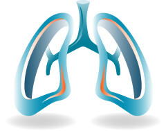 Mesothelial Lining Icon
