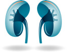Renal Cell Carcinoma Icon