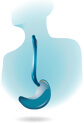 Gastroesophageal Junction (GEJ) Icon